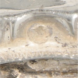 Pepermuntdoosje zilver.