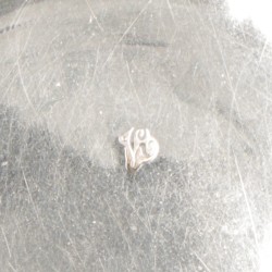 Pepermuntdoosje zilver.