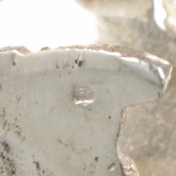 Rozenwater-sprenkelaar zilver.