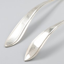 Soeplouche en bowllepel zilver.