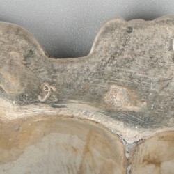 Delicatessenschaal zilver.