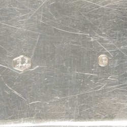 Dienblad zilver.
