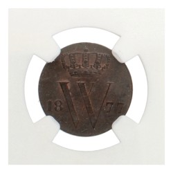 ½ cent. Willem III. 1877. MS 65 BN.