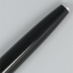 Caran d`Ache rollerball pen.