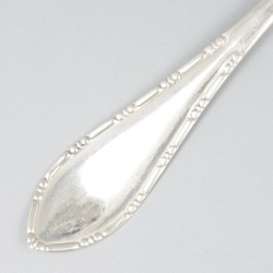 Natfruitschep zilver.