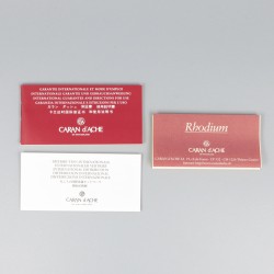 Caran d`Ache rollerball pen.