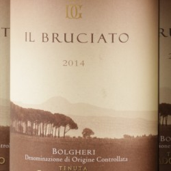 (12x) Tenuta Guado al Tasso - Il Bruciato - Bolgheri - 2014.