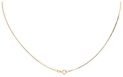 18K Geelgouden appeltje van Aziatisch koraal aan collier.