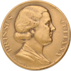 Nederland. 1936. Beloningspenning nationaal crisis comité.