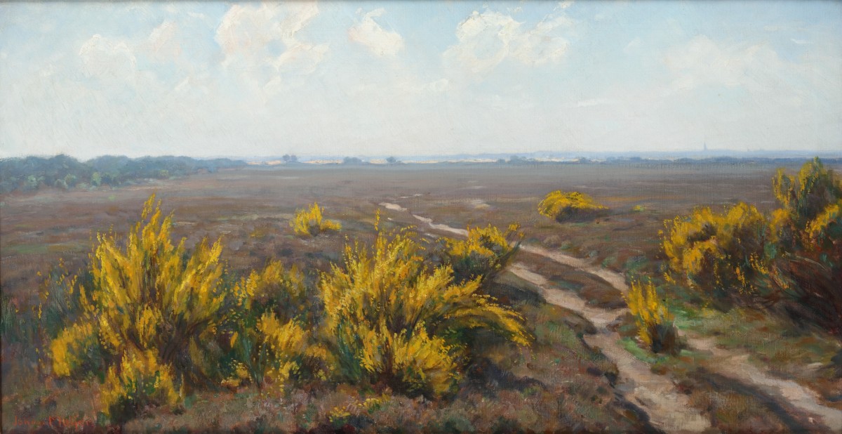 Johan Meijer (Zwolle 1885 - 1970 Laren), Bloeiende brem op de heide bij Blaricum