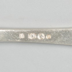 Vis-serveerset zilver.