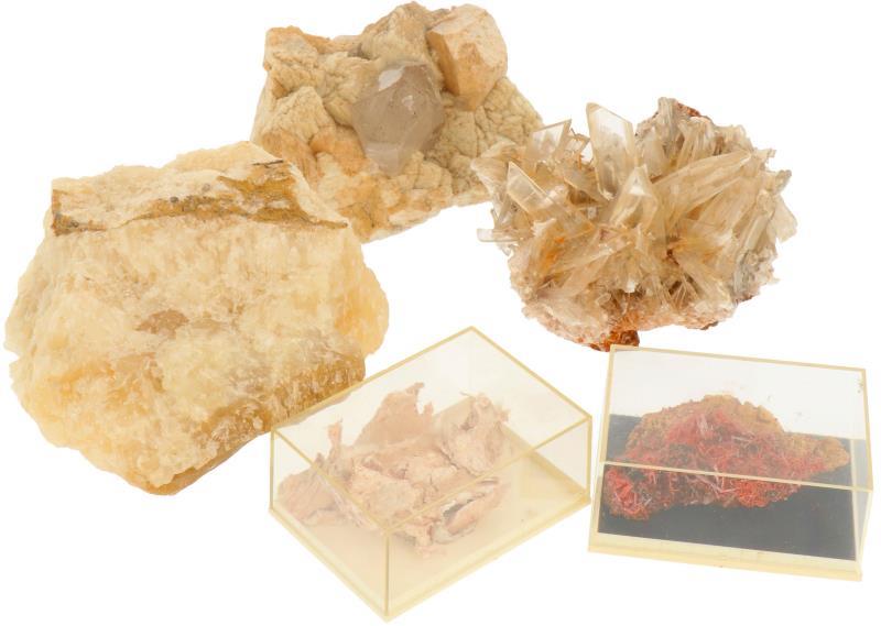 (5) Mineralen.