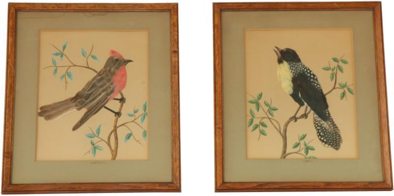 (2) Aquarellen.