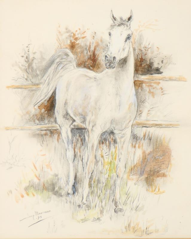 Joop Mearman.