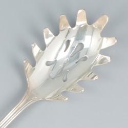 Spaghetti-lepel zilver.