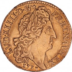 France. Louis XIV. Louis d'or. 1711 N.