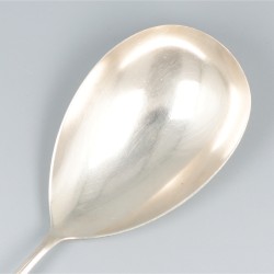 Rijstlepel zilver.