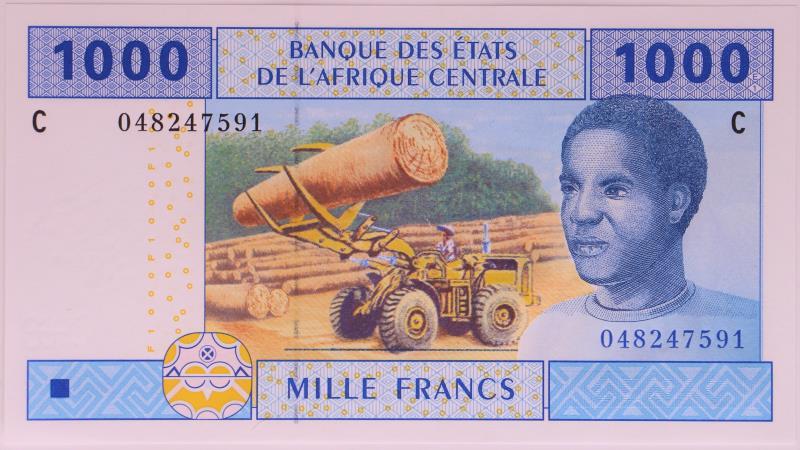 Central African States. 1000 francs. Banknote. Type 2002. - UNC.