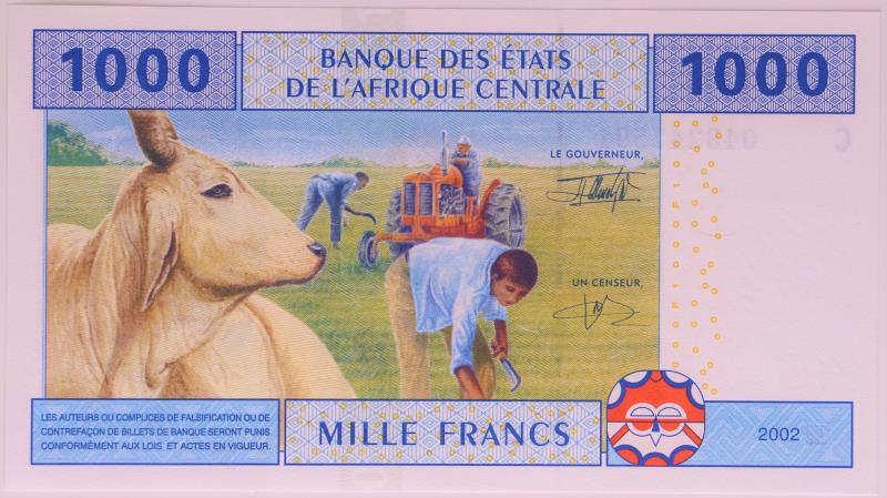 Central African States. 1000 francs. Banknote. Type 2002. - UNC.