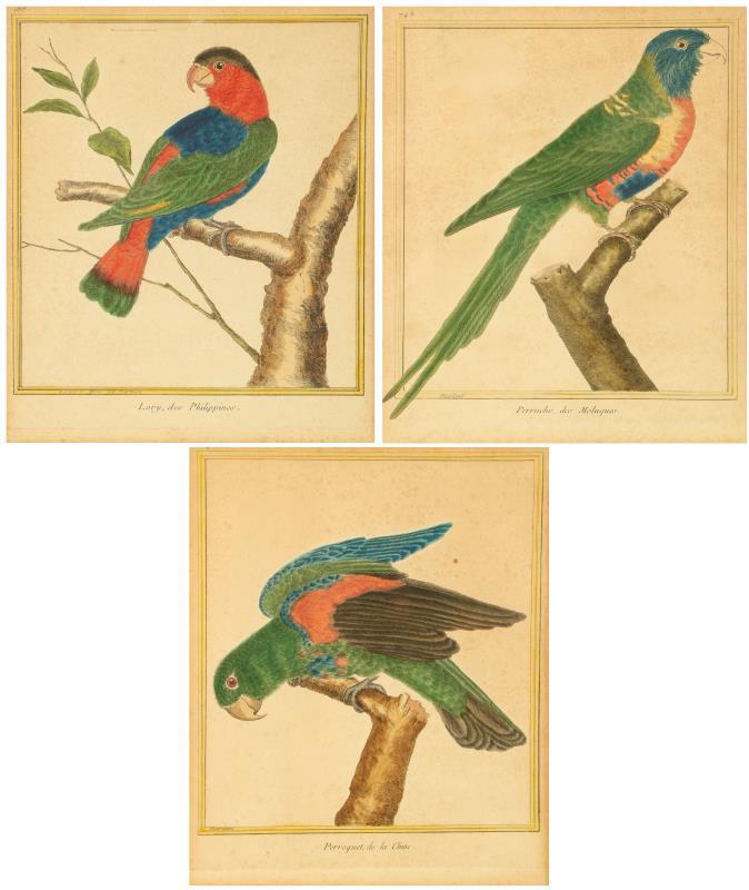 Een lot van (3) handgekleurde gravures naar François-Nicolas Martinet (Aklonlie, Fr. 1731 - 1800) 