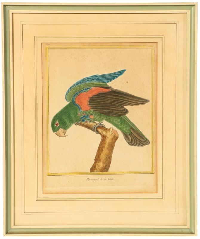 Een lot van (3) handgekleurde gravures naar François-Nicolas Martinet (Aklonlie, Fr. 1731 - 1800) 
