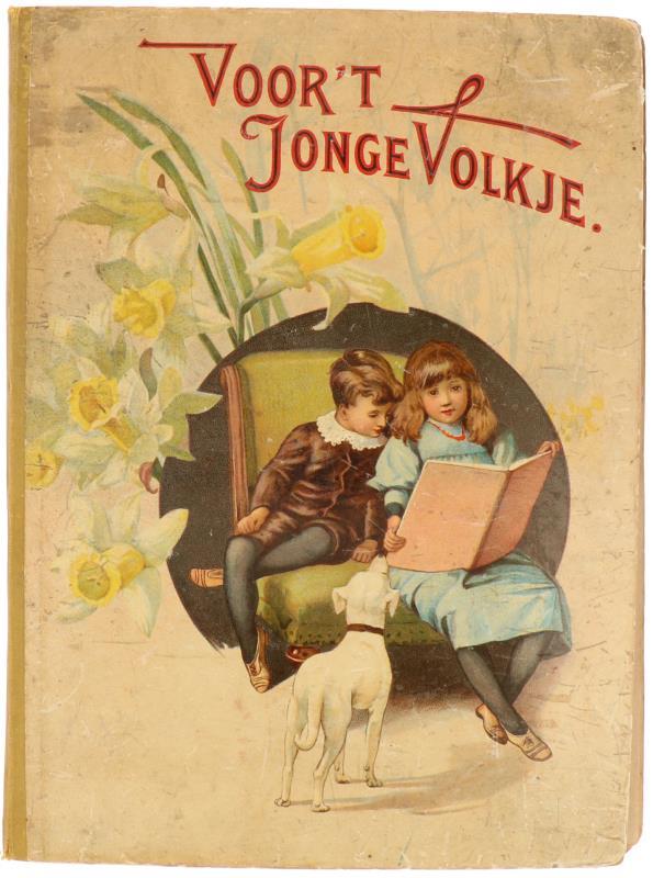 Een album met diverse ansichtkaarten van steden in Nederland. 1e kwart 20e eeuw.