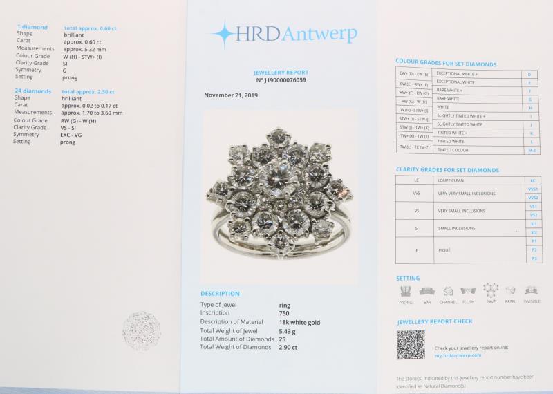 Entourage ring witgoud, ca. 2.90 ct. diamant - 18 kt.