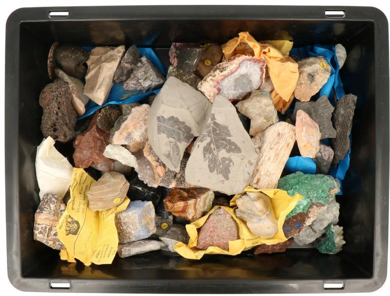 Een lot met diverse mineralen en fossielen.