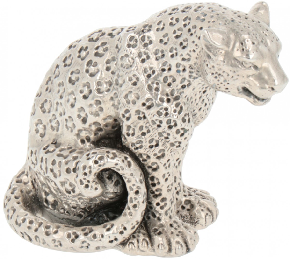 Jaguar (Panthera onca) zilver.