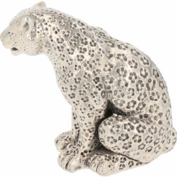Jaguar (Panthera onca) zilver.
