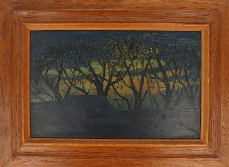 F.H. Peters (Nederlands 1926-2006).