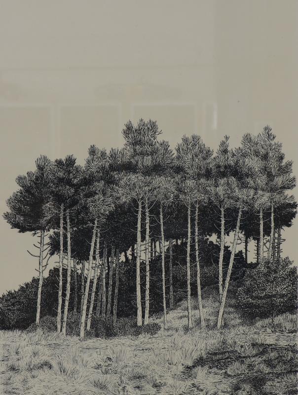Sees Vlag (1934).