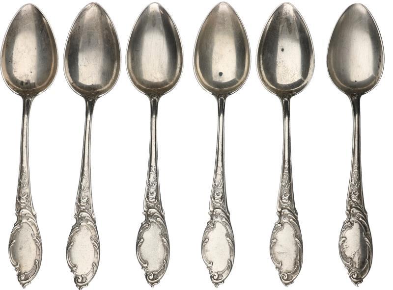 (6) Lepels zilver.