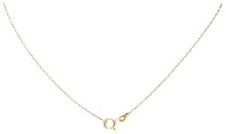 Antiek 14K geelgouden collier.