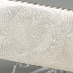 Brillenetui zilver.