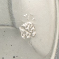Gelegenheidslepel zilver.