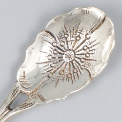 10-delige set theelepels zilver.