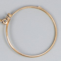 Lorgnette goud.