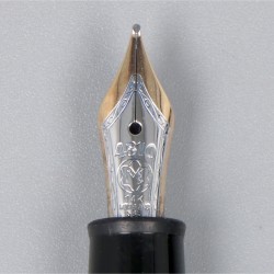 Montblanc Meisterstück vulpen.