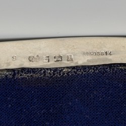Sieradendoos zilver.