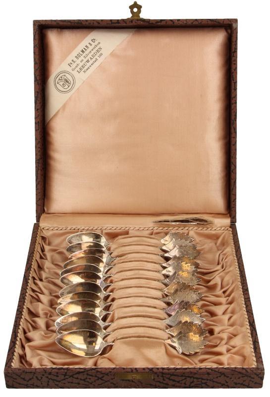 Zilveren Lepeltjes (12x)