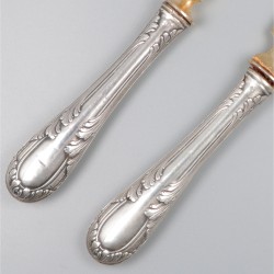 Viscouvert zilver.