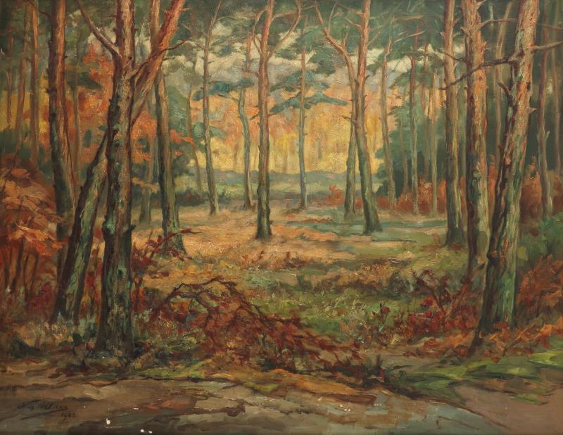 Wim Helder (Den Haag 1892 - 1966 Hattem), Een boslandschap in de herfst, mogelijk bij het Loo.