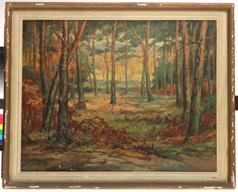 Wim Helder (Den Haag 1892 - 1966 Hattem), Een boslandschap in de herfst, mogelijk bij het Loo.