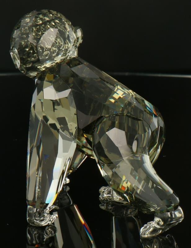 Swarovski Gorilla jong SCS.