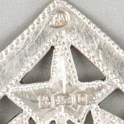 Gesp zilver.