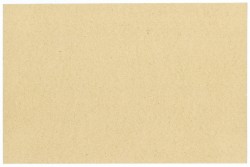 Nederland. 10 gulden. Waardebon. Type 1940. Type Anna Paulowna. - Prachtig.
