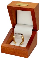 Pequignet 18K geelgouden / stalen ring met flexibele stalen brug en diamant.