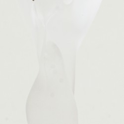 Een (6) delig lot kristallen Igor Carl Fabergé champagne flutes - Kissing Doves. Frankrijk, 20e eeuw.