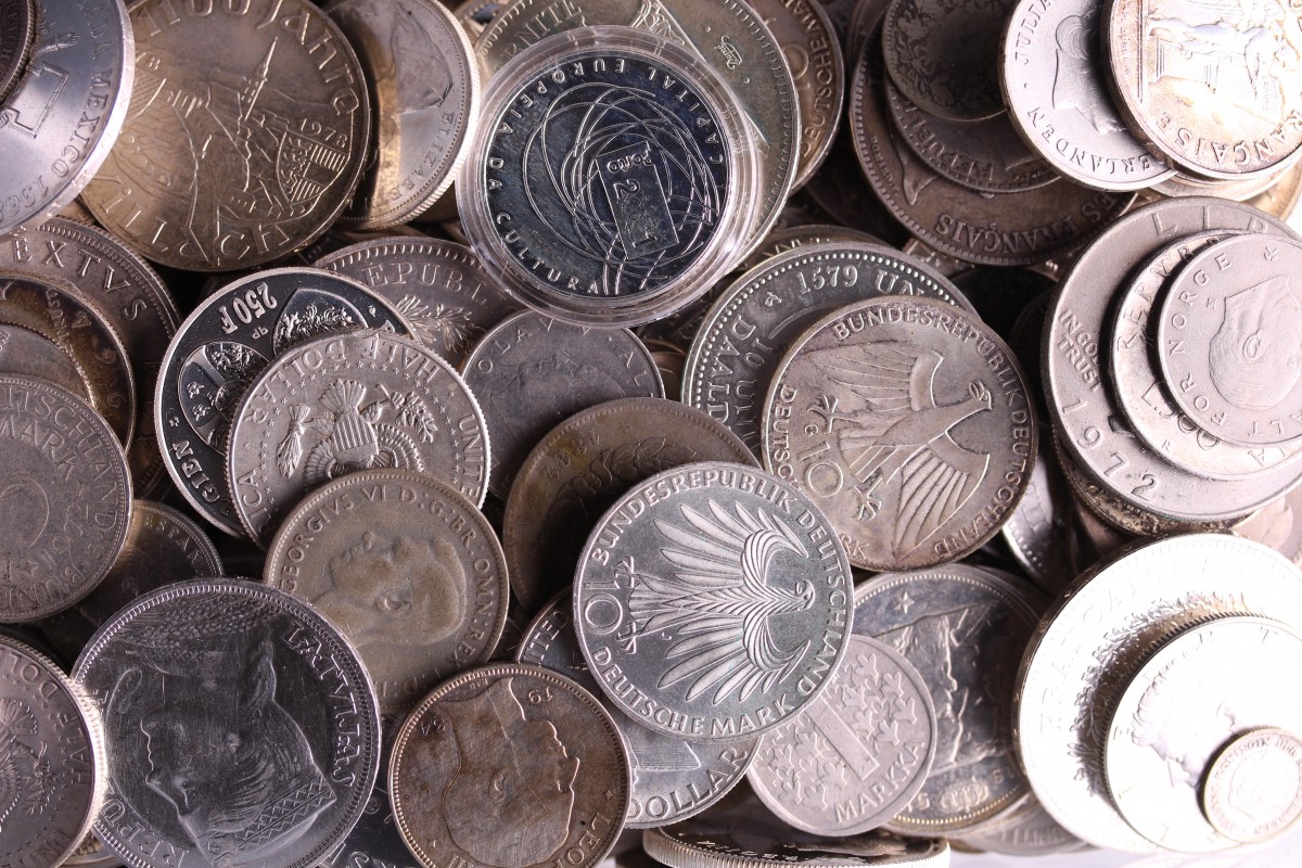 World. 2½ kg Silvermix.
